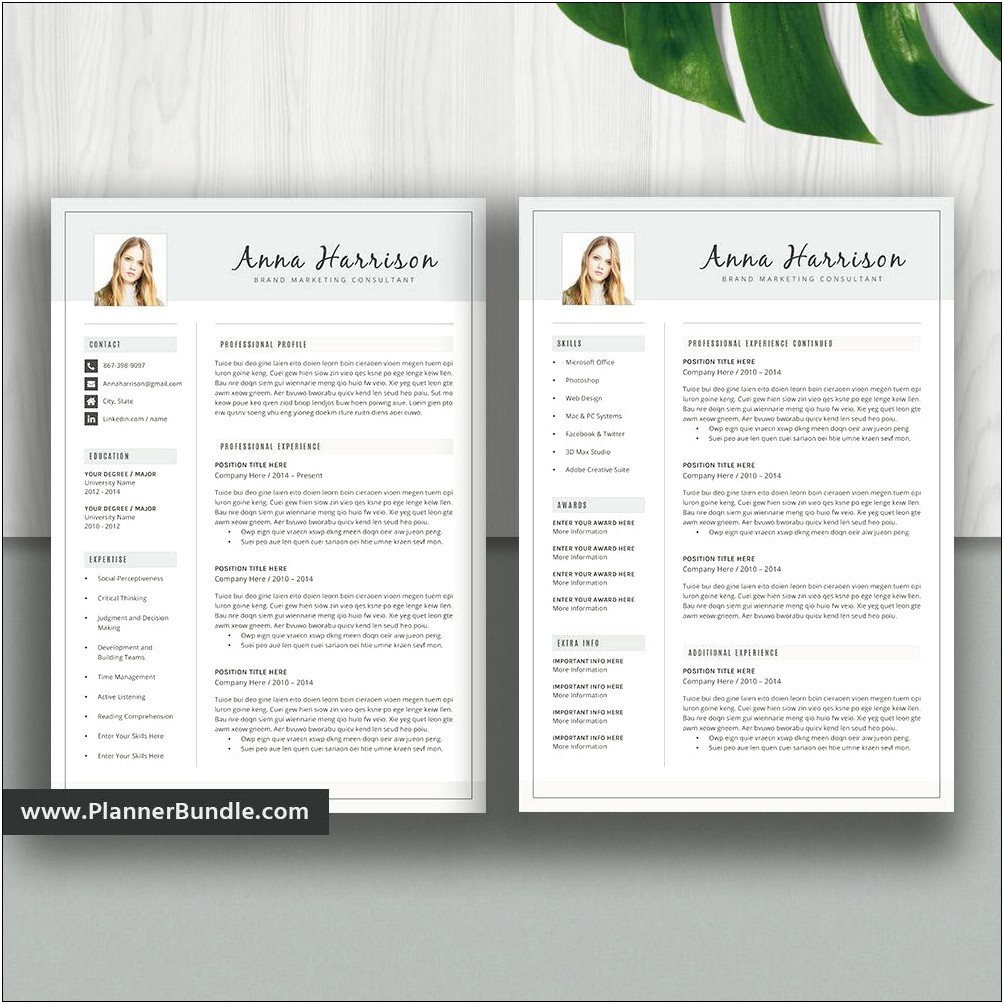 3 Page Cv Template Word Free Download