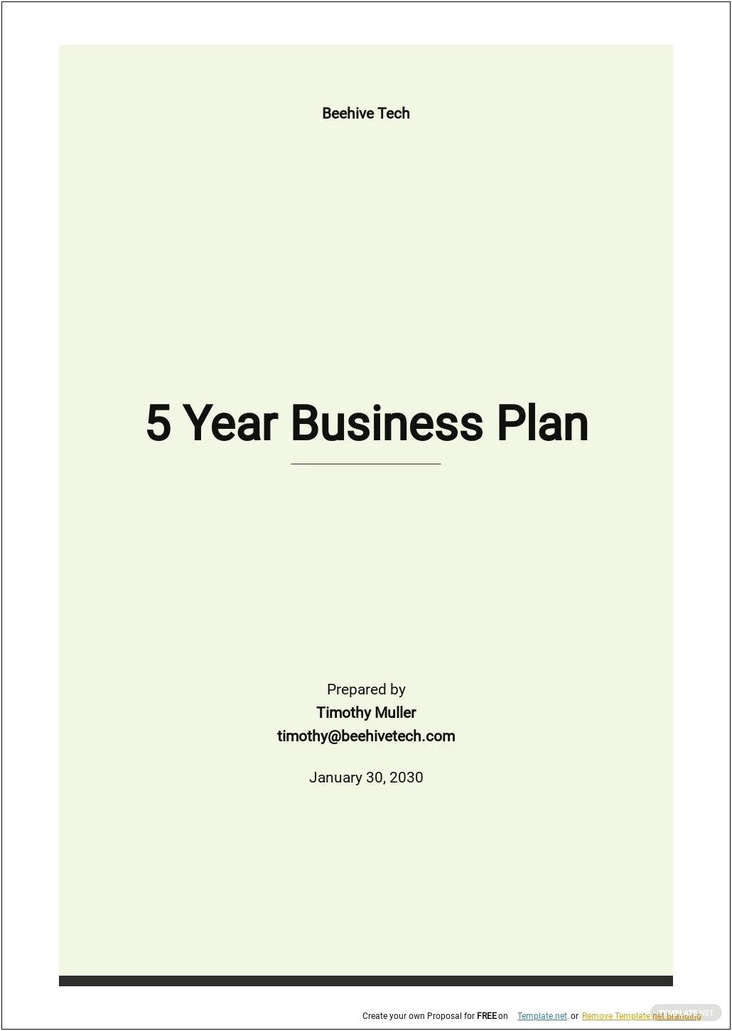 5 Year Business Plan Template Free