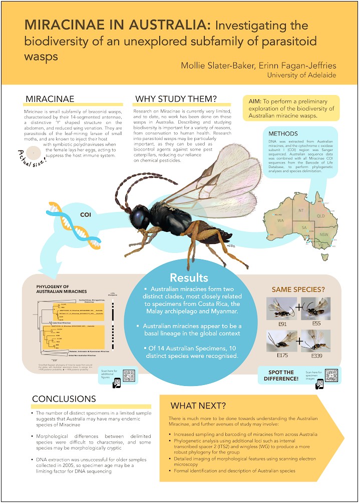 A1 Research Poster Template Free Download