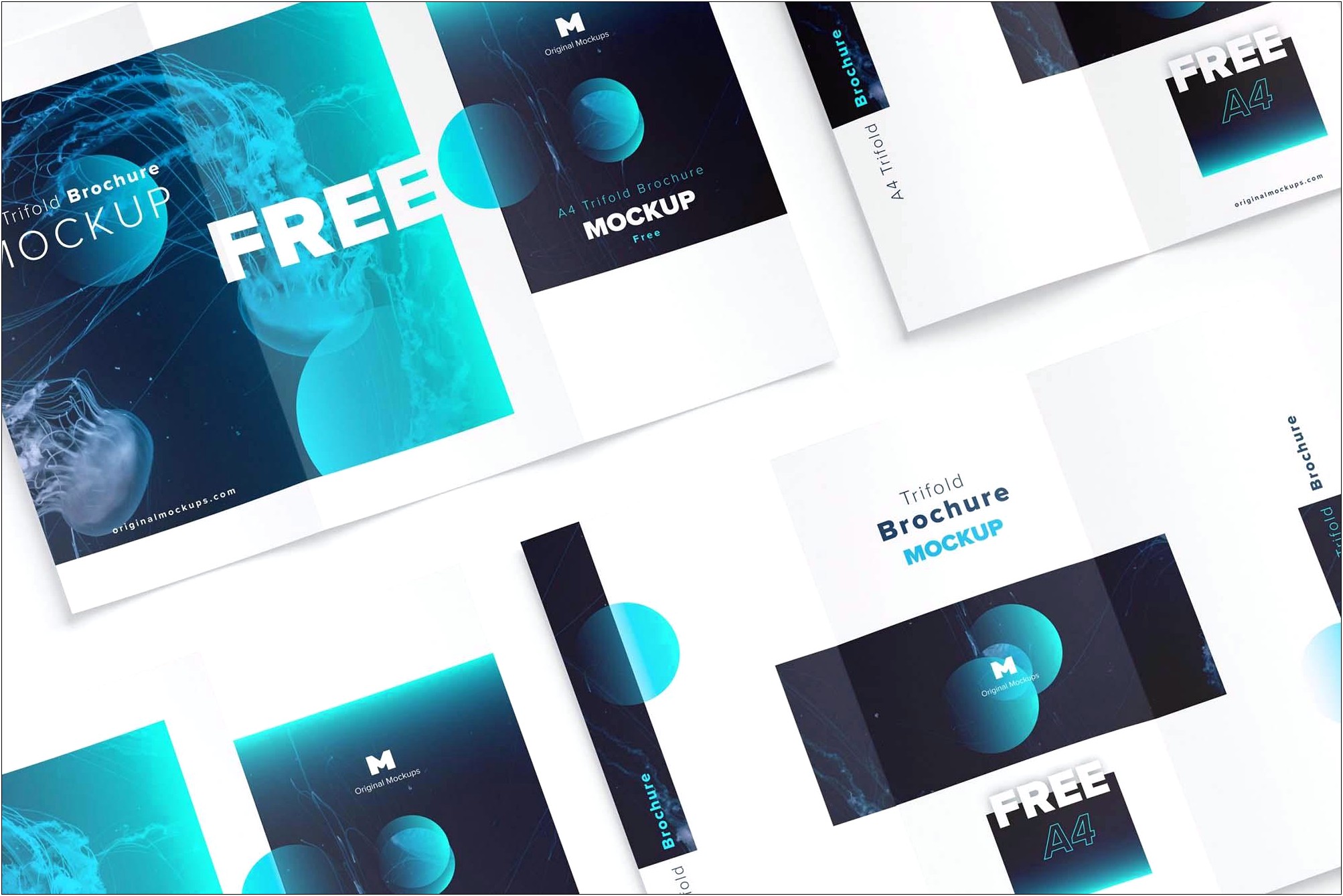 A4 Brochure Template Psd Free Download