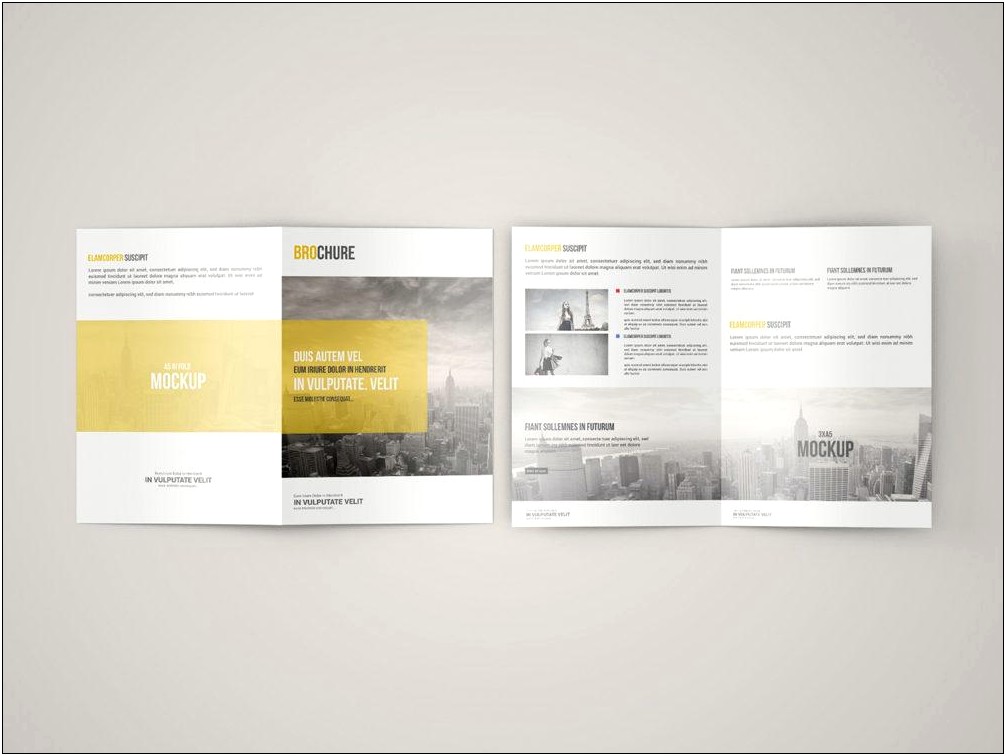 A5 Size Brochure Templates Psd Free Download
