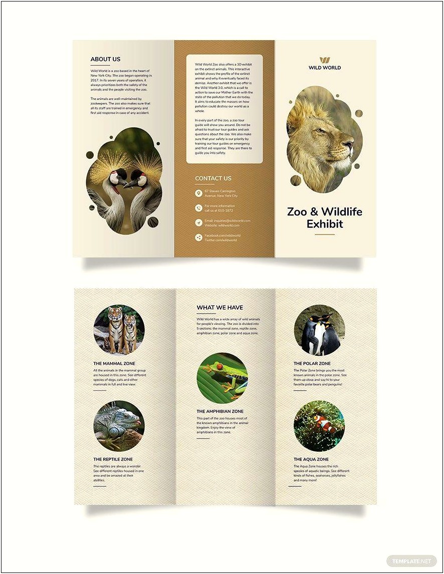 Apple Pages Tri Fold Brochure Templates Free