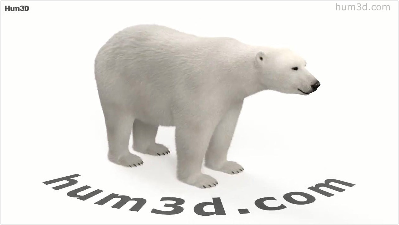 Art Polar Bear 3d Template Free