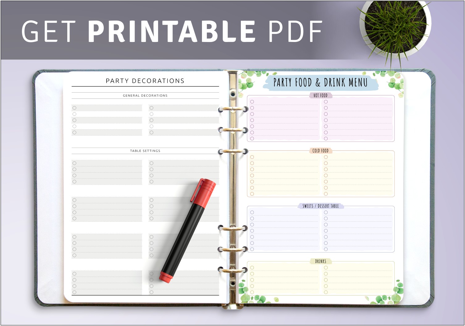 Birthday Party Planning Checklist Template Free