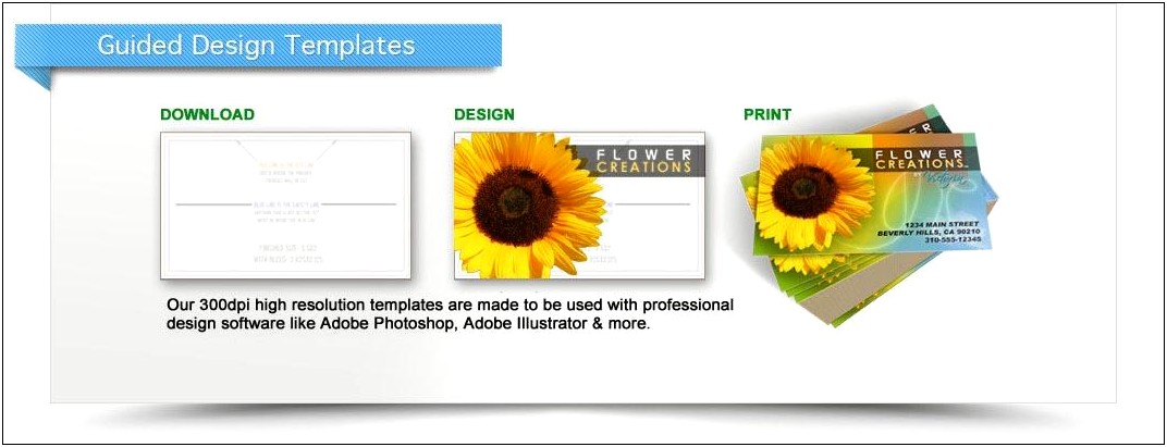 Booklet Printing Template Download Free Ai