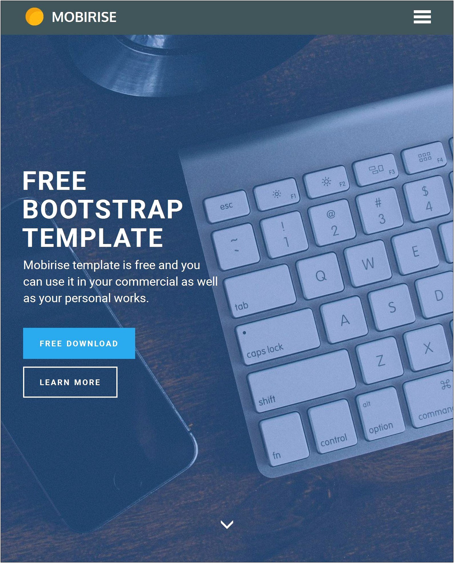 Bootstrap Travel Agency Template Free Download