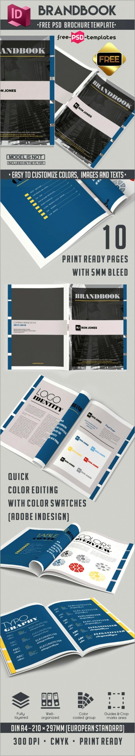Brand Book Template Vector Free Download