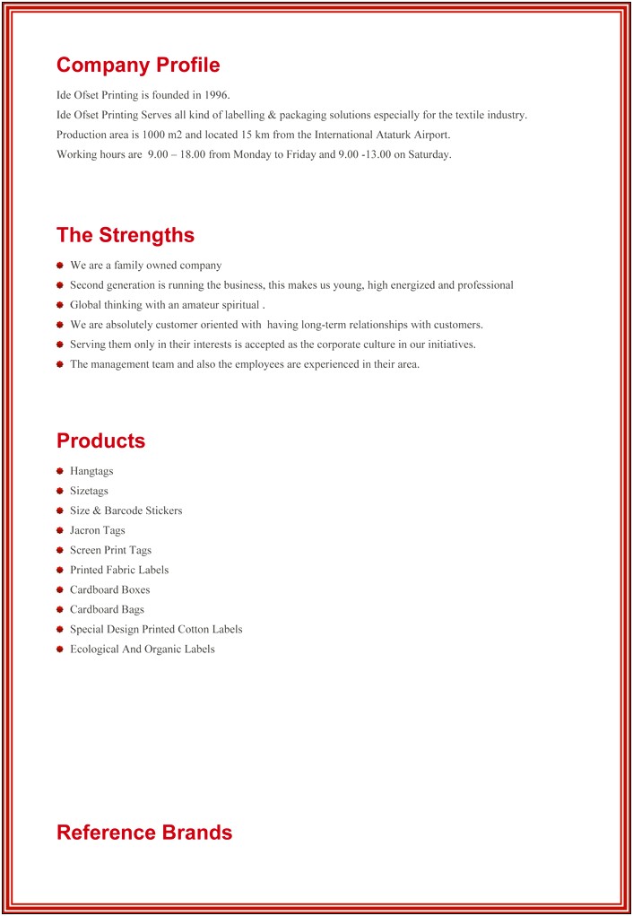 Business Profile Word Template Free Download