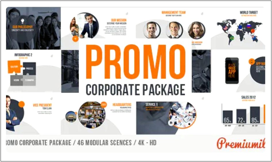 Business Timeline Videohive Free Download After Effects Templates