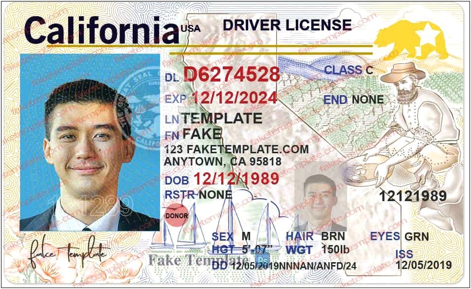 California Drivers License Template Free Download