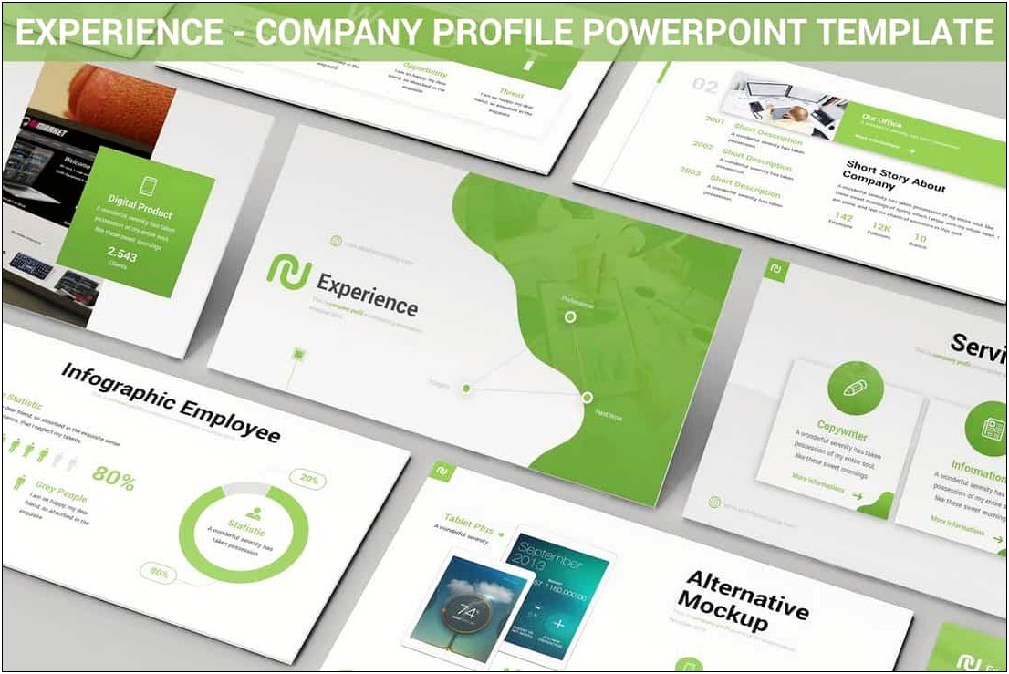 Company Profile Template Free Download Ppt