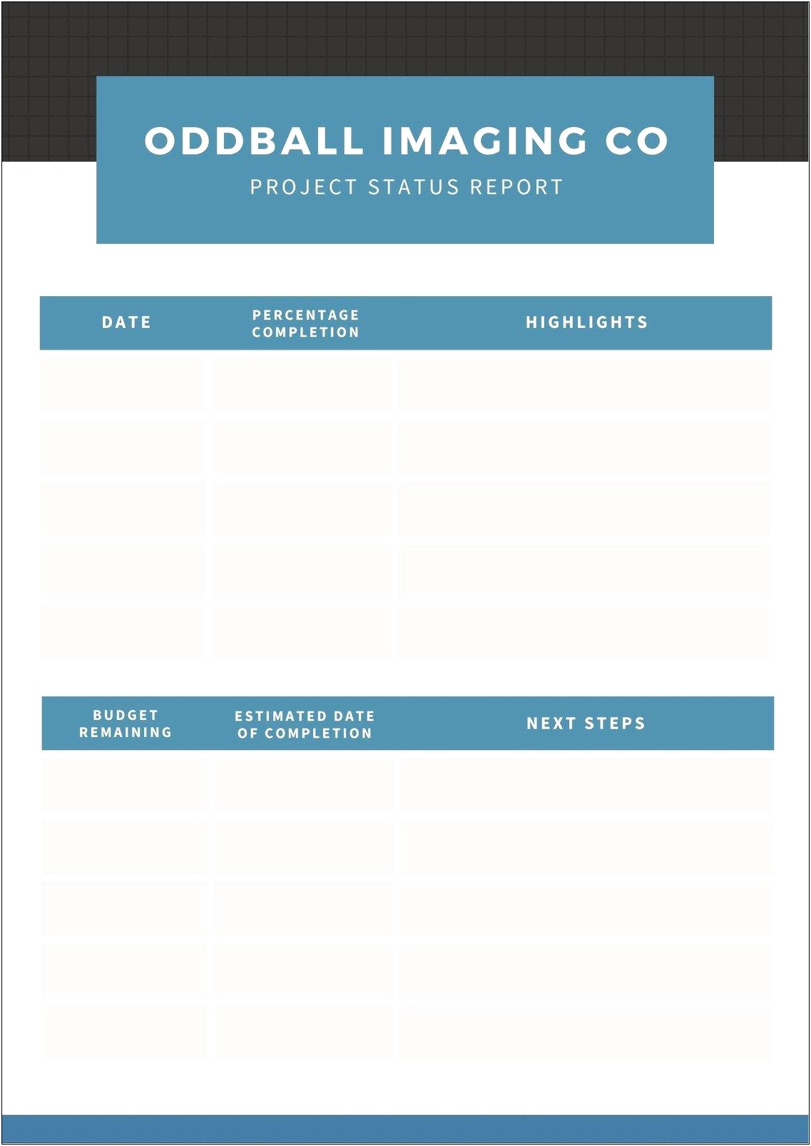 Construction Project Status Report Template Free