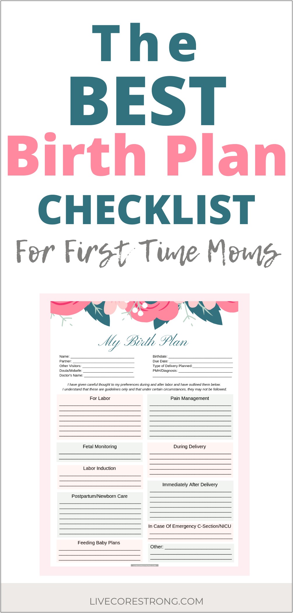 Create Birth Plan Template For Free