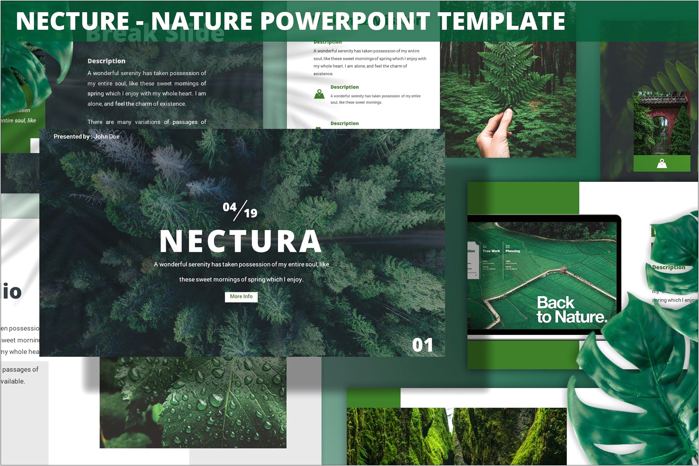 Creative Powerpoint Nature Templates Free Download