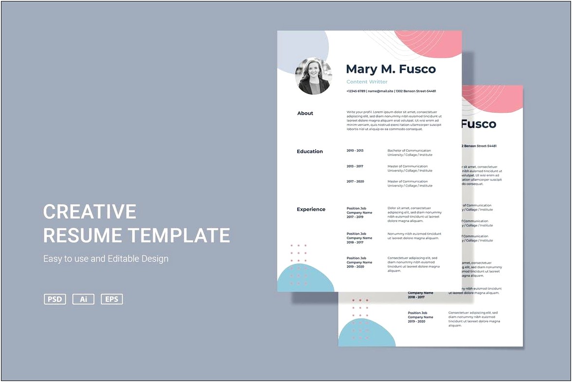 Cv Template Word Free Download 2017