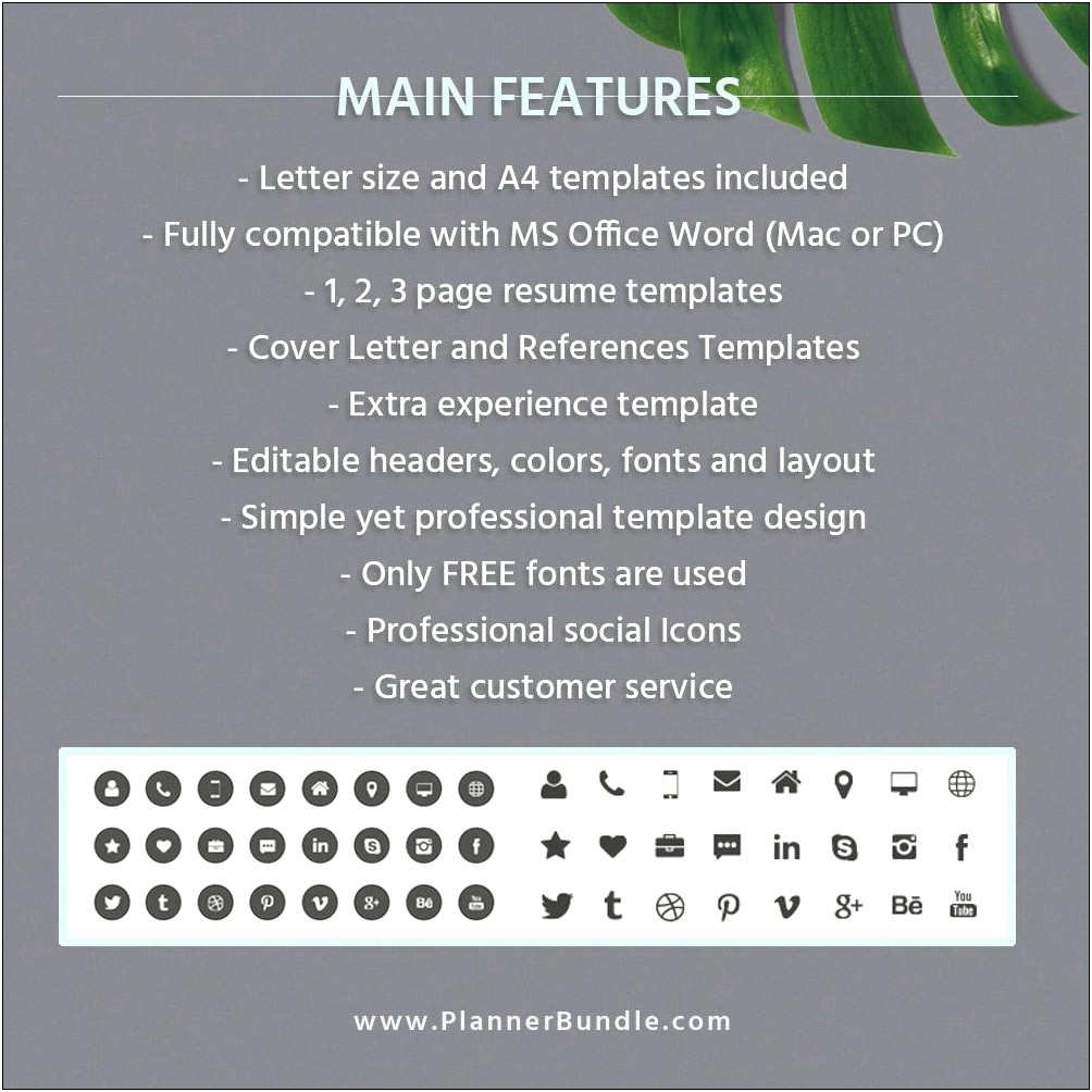 Cv Templates For Mac Free Download