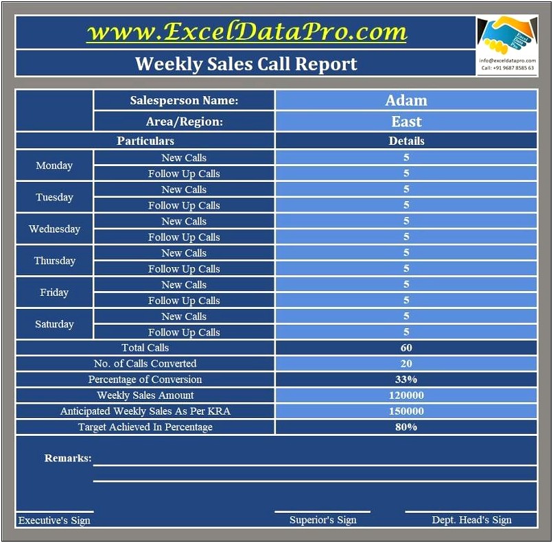 Daily Sales Call Report Template Free Download
