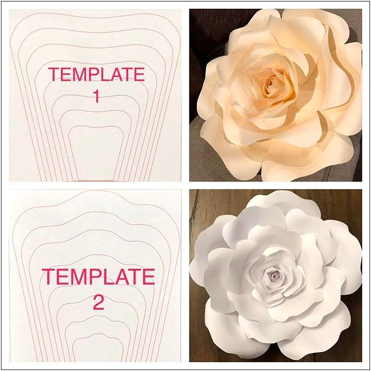 Diy Paper Rose Petal Backdrop Template Free