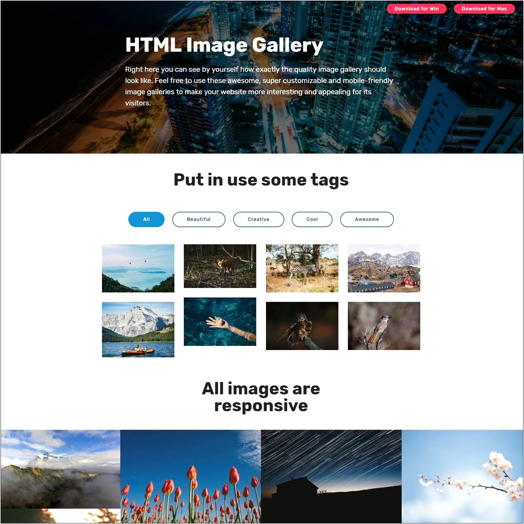 Download Free Html Templates For Photo Gallery