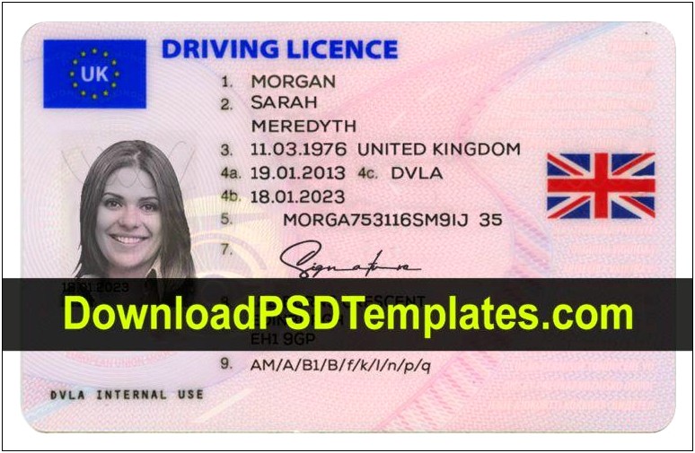 Drivers License Template Psd Free Download