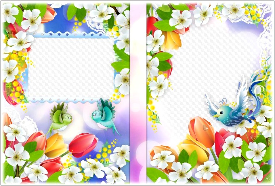 Dvd Cover Template Free Download Psd