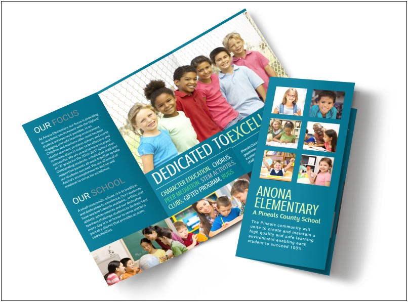 Elementary School Brochure Template Free Download