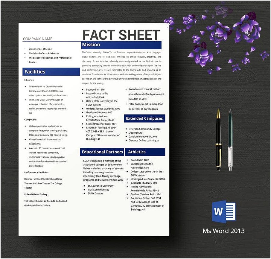 Fact Sheet Template Free For Public Health