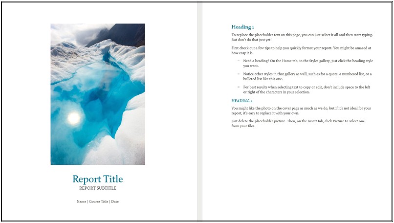 Field Visit Report Template Free Download