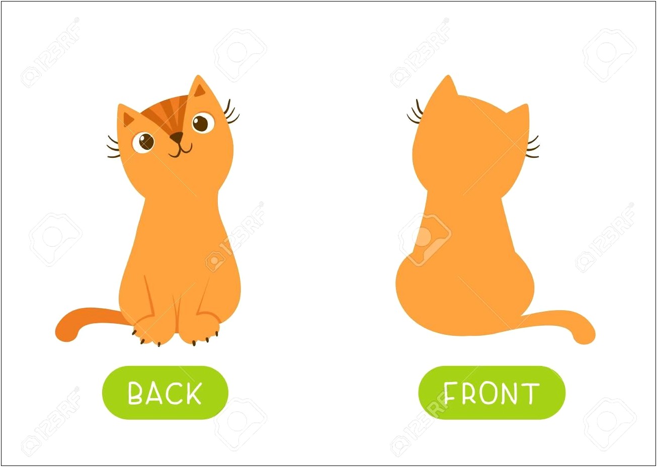 Flash Card Template Free Front And Back