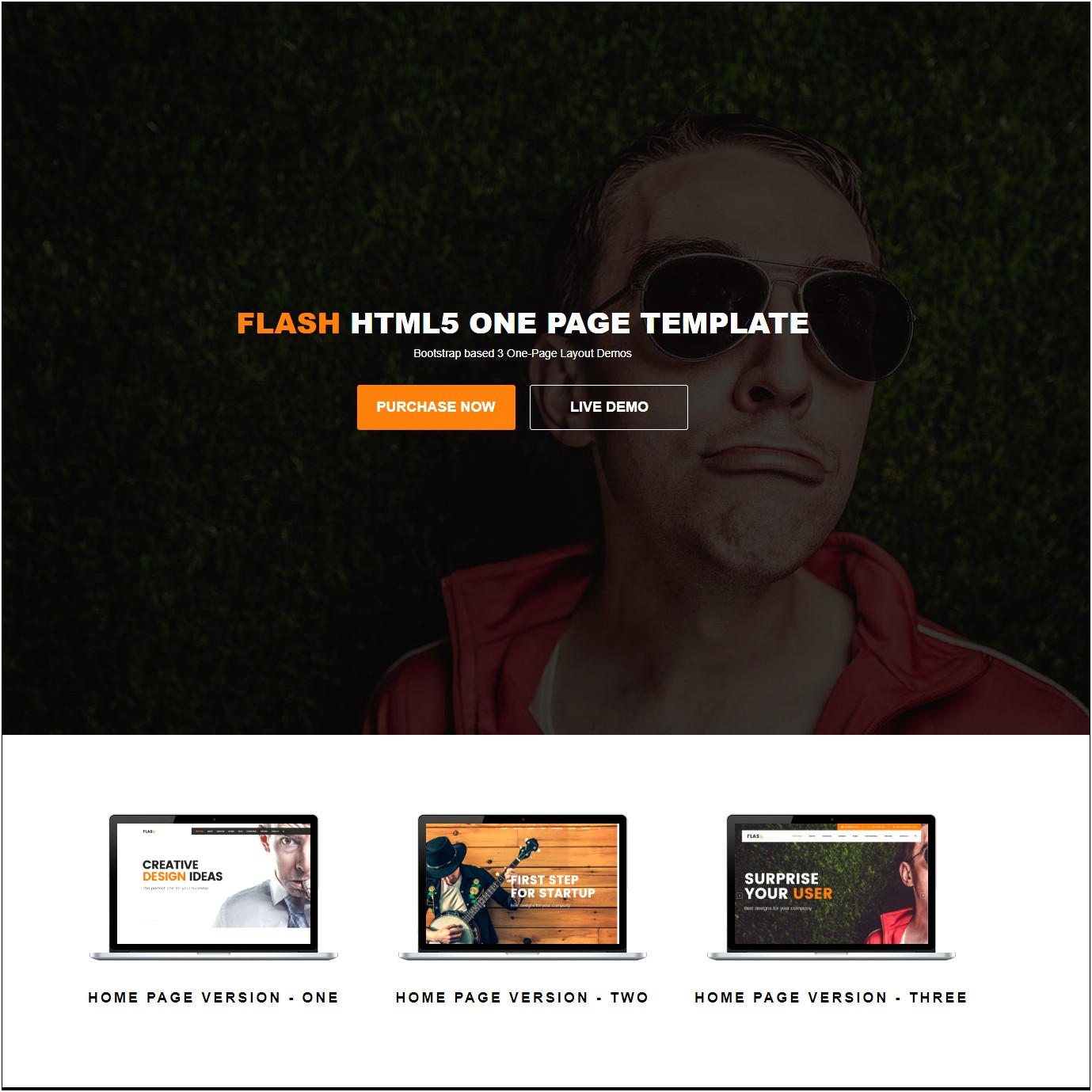 Flash Template Free Download Full Version