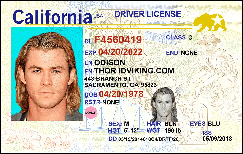 Florida Drivers License Template Psd Free