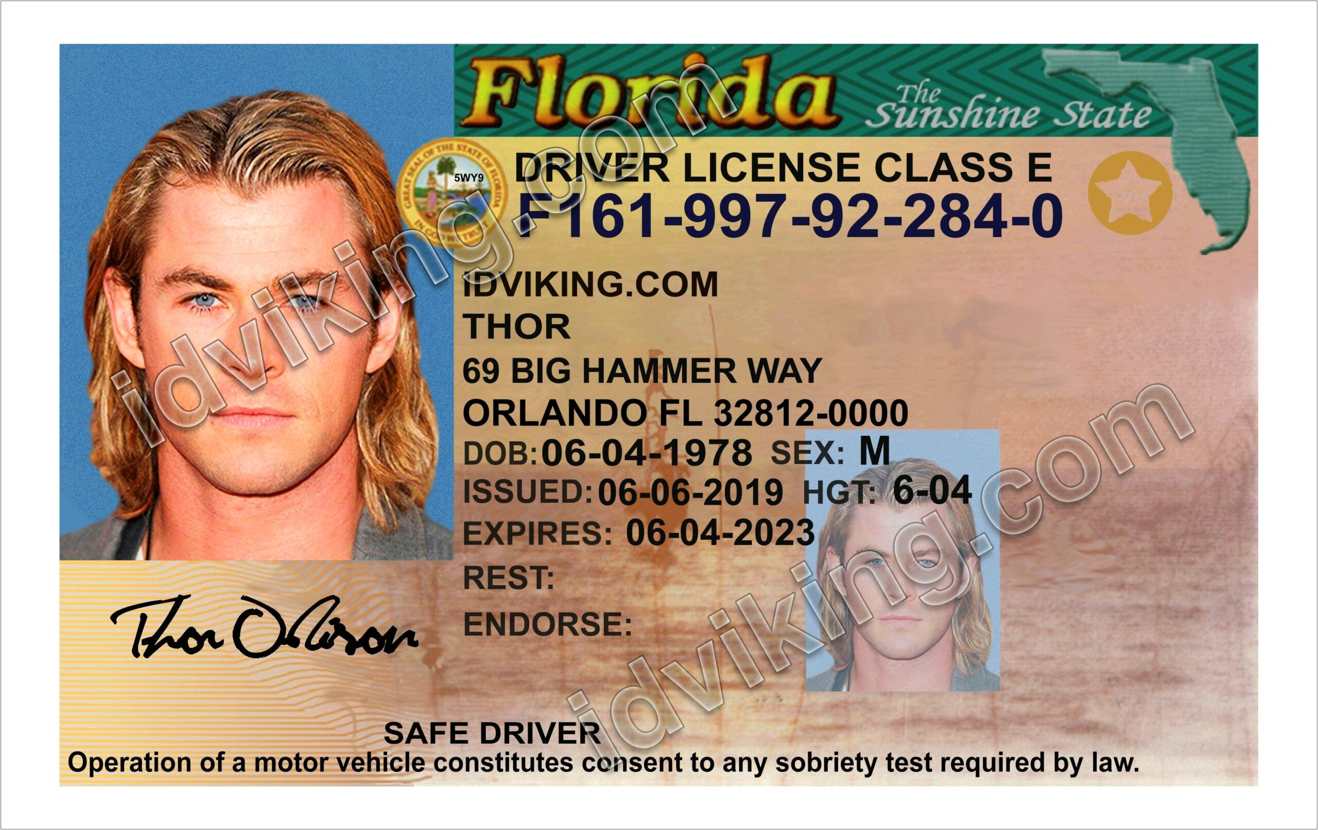 Florida Driving Licence 2015 Template Free Download