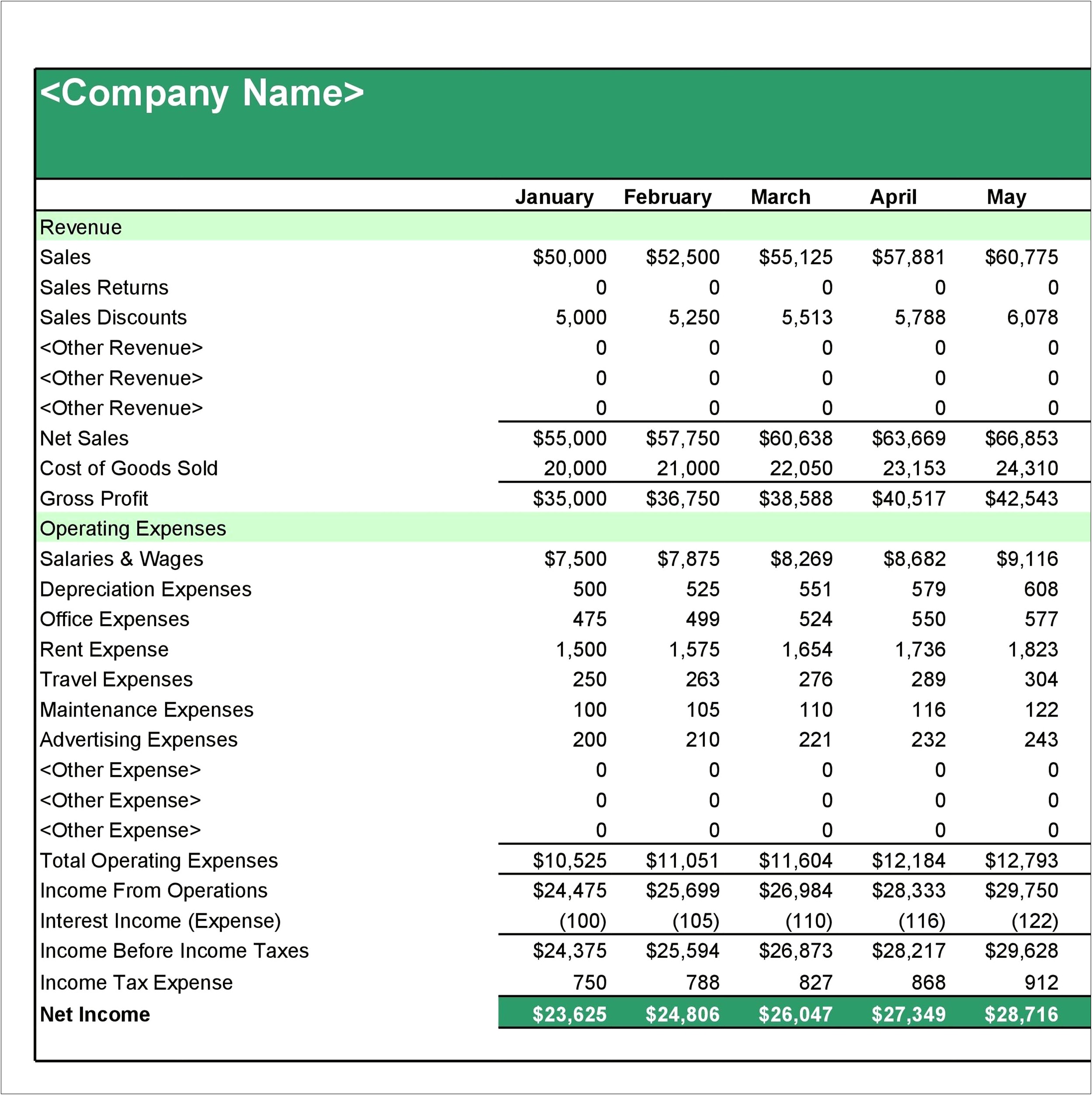 Free 12 Month Income Statement Template