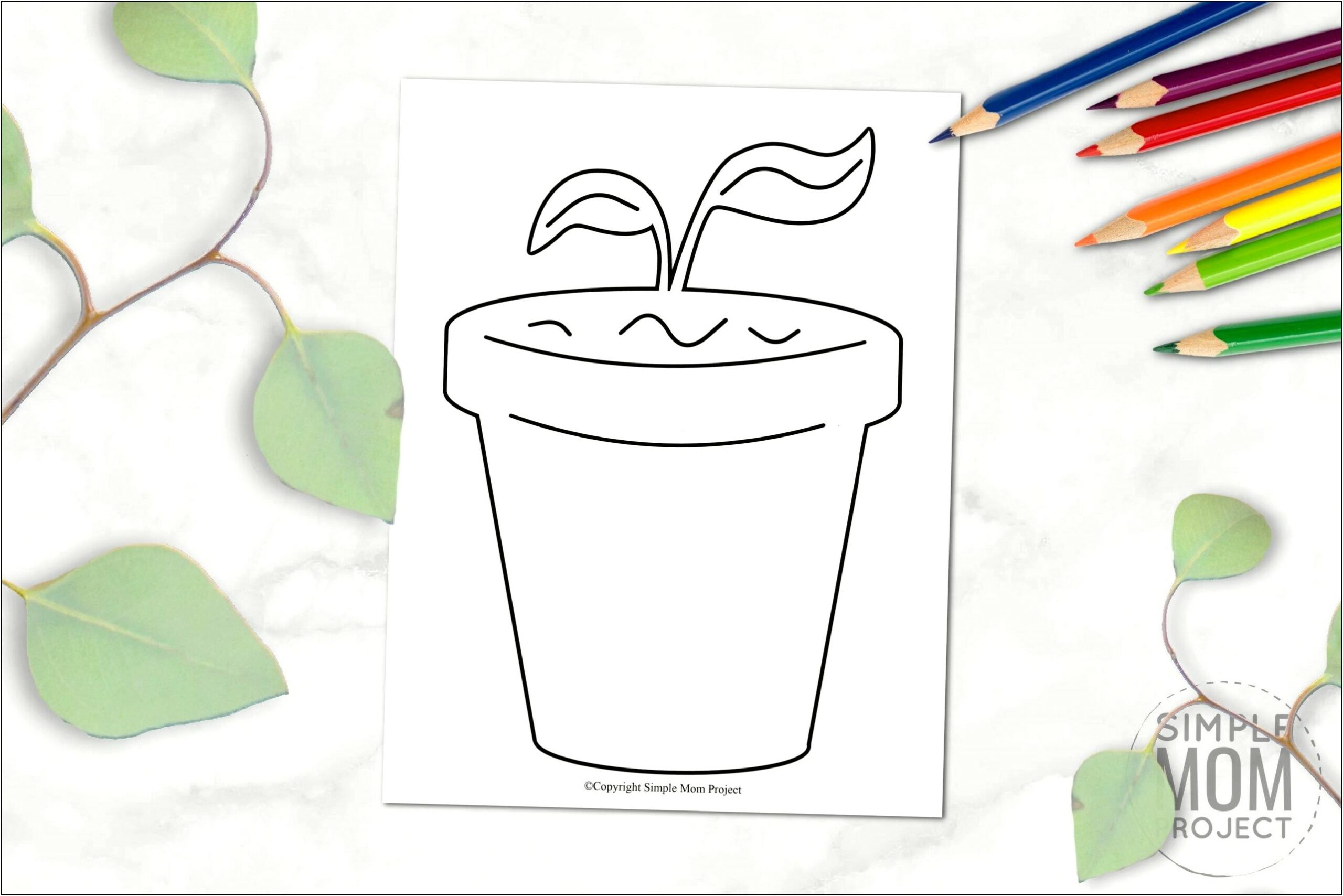 Free 8x10 Template Of Potted Flower To Paint