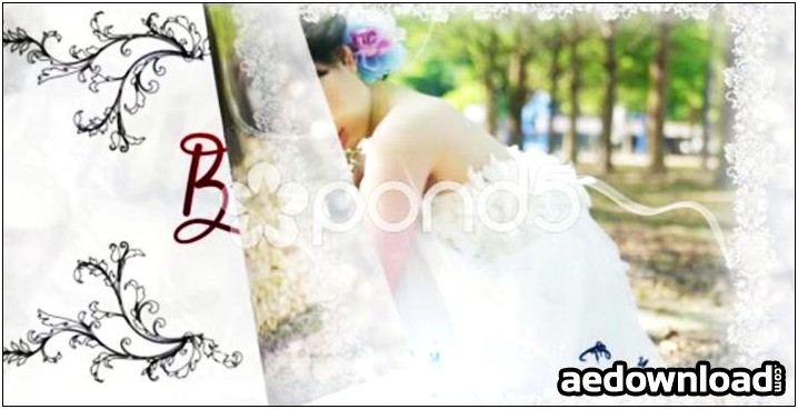 Free After Effects Wedding Slideshow Templates