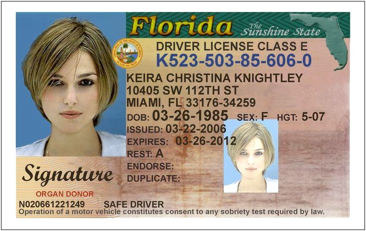 Free Blank Florida Drivers License Template
