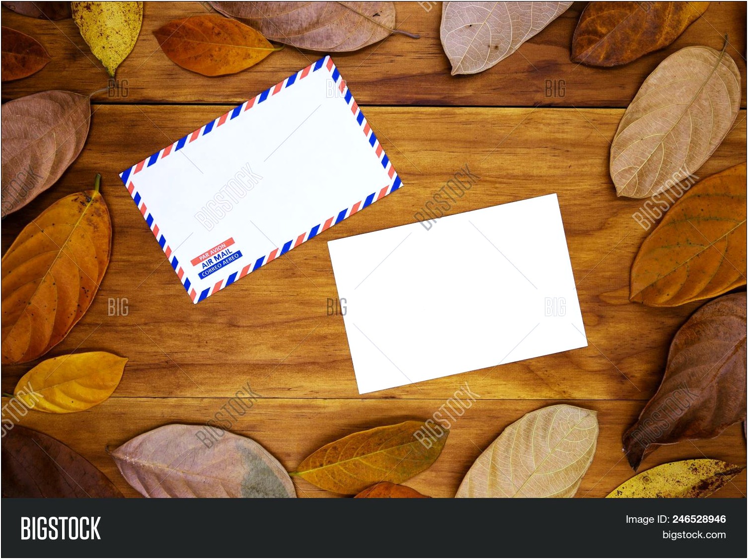 Free Blank Place Card Template Autumn
