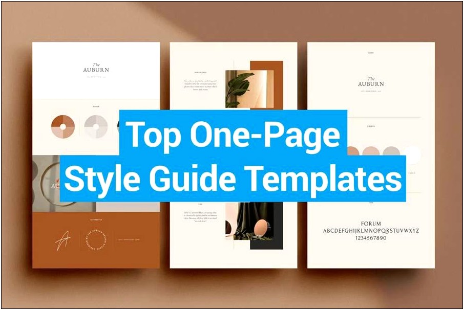 Free Brand Style Guide Template Indesign