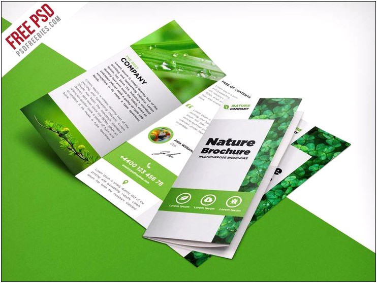Free Brochure Templates Psd Free Download