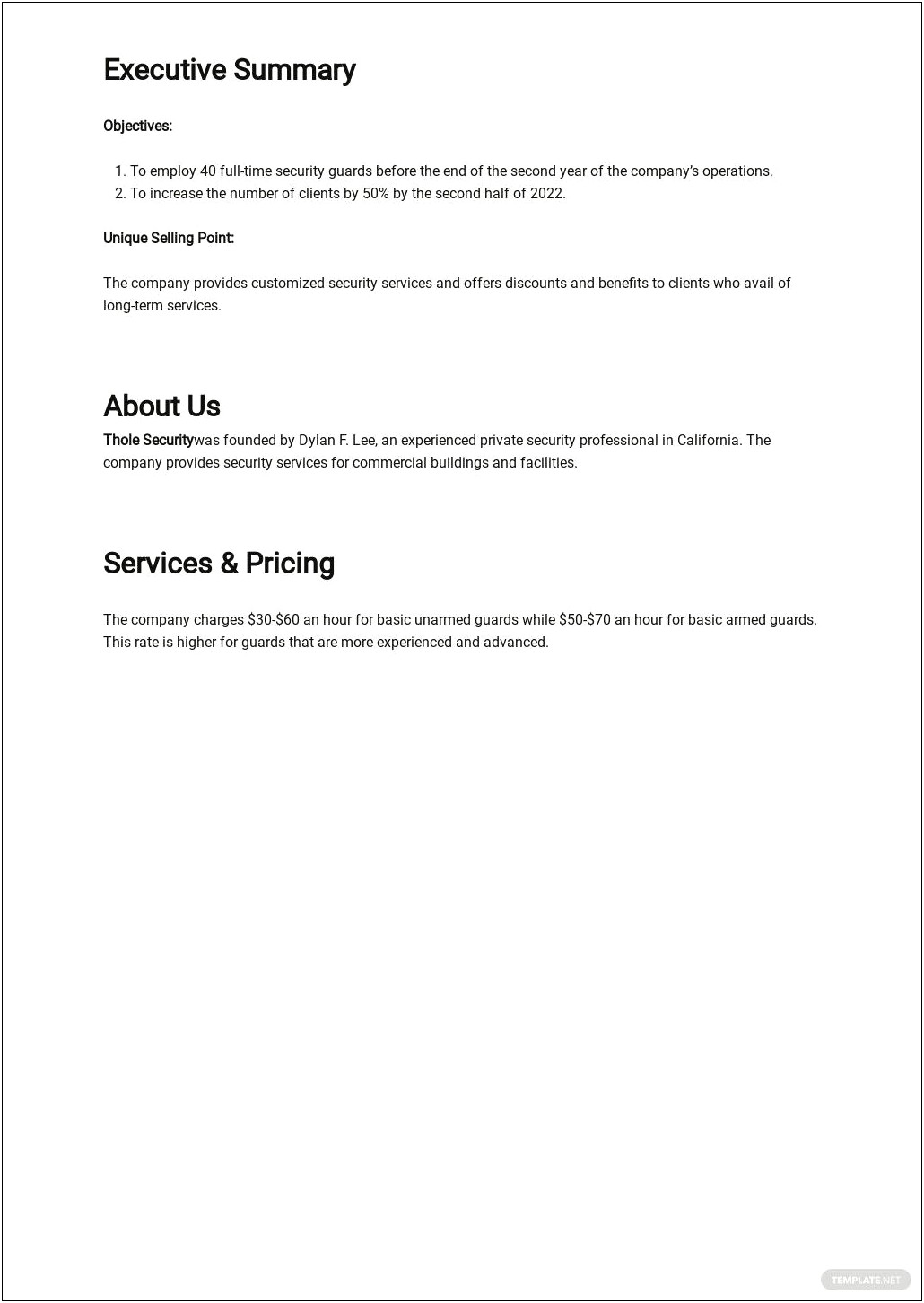 Free Business Plan Template Security Company