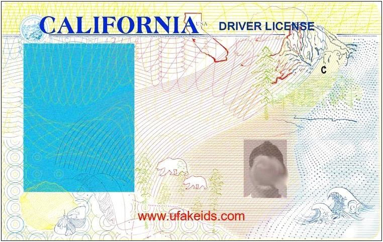 Free California Drivers License Template Psd