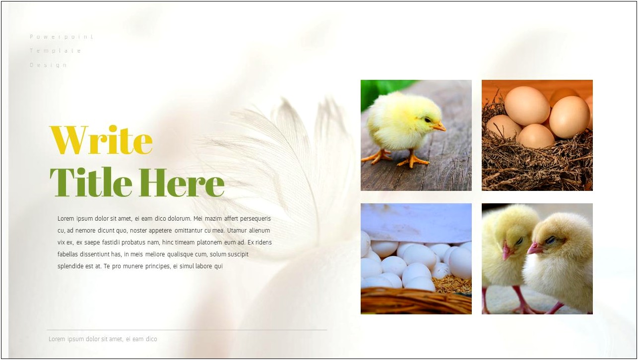 Free Chicken Powerpoint Template For Conference Presentation