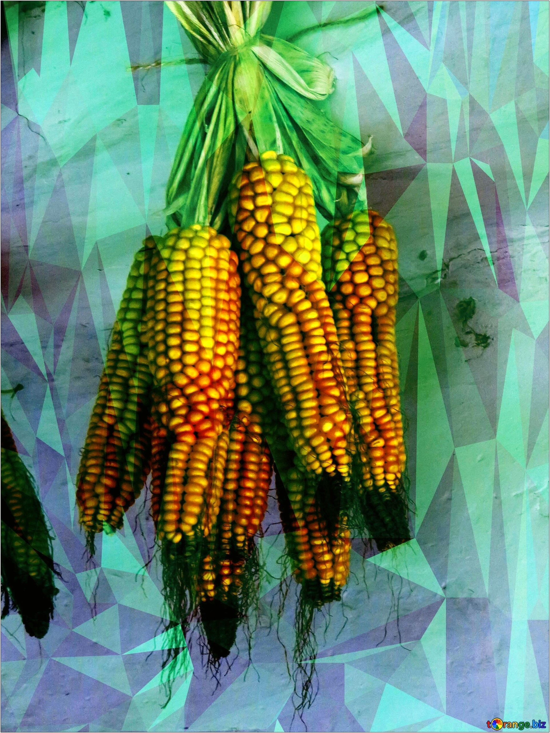 Free Corn On The Cob Template