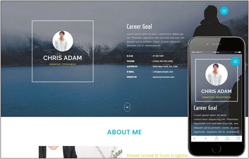 personal-profile-template-free-personal-profile-resume-html-website