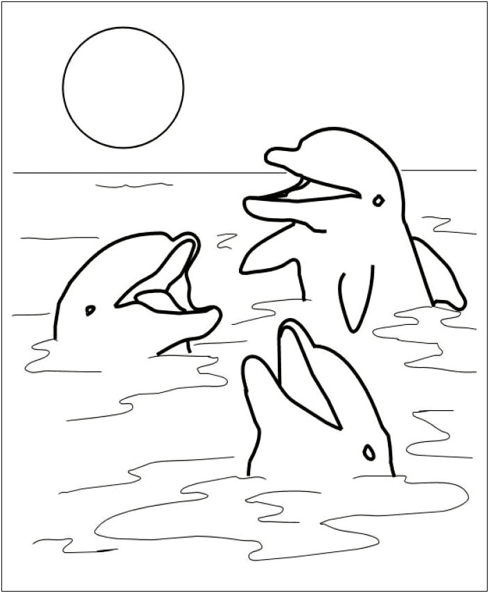 Free Dolphin Template 7.3.3