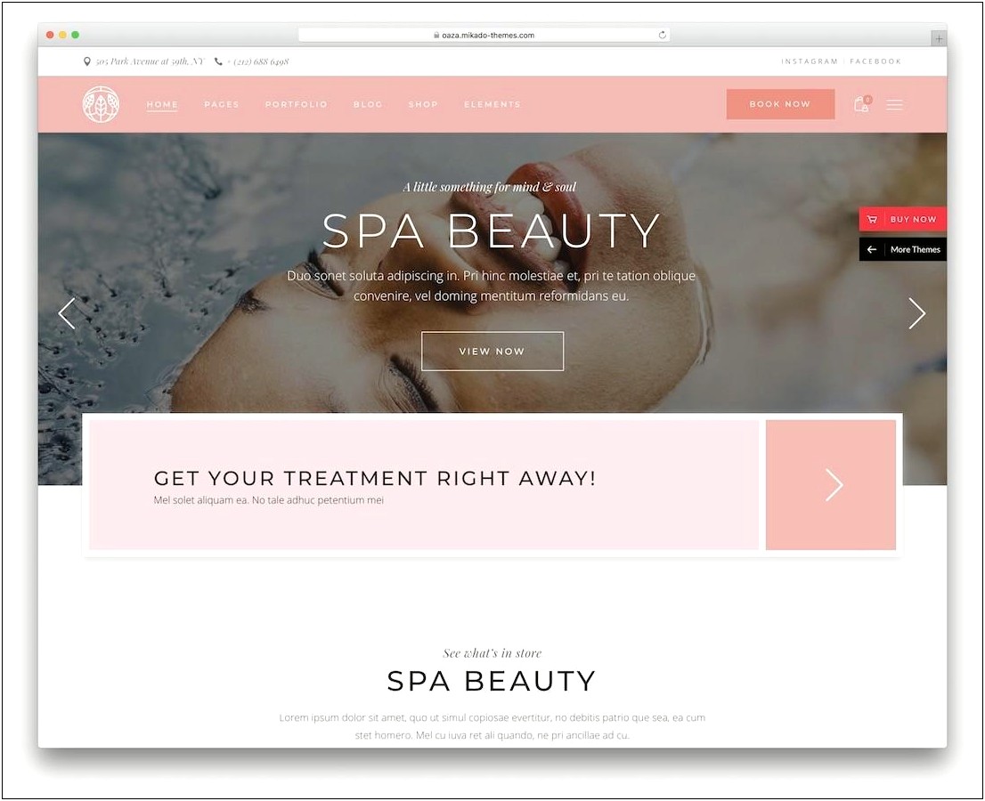 Free Download Beauty Salon Responsive Wordpress Template
