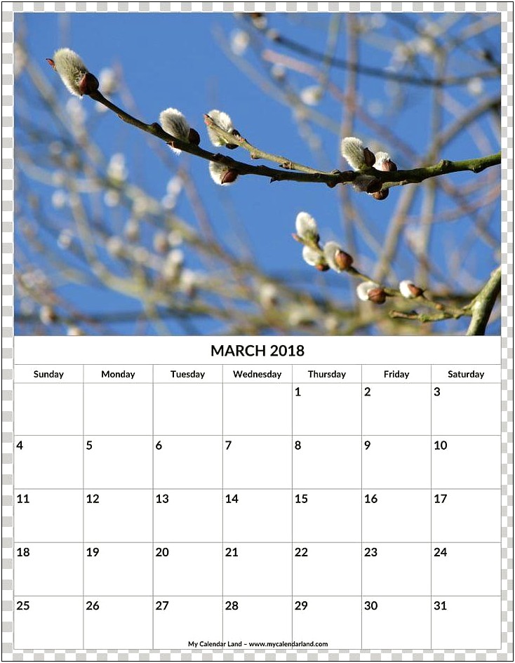 Free Downloadable May 2018 Calendar Template