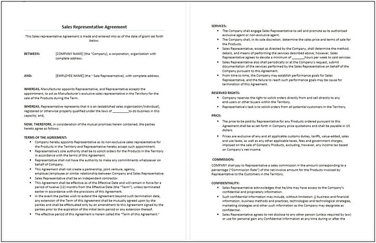 Free Employment Sales Person Contract Template Word