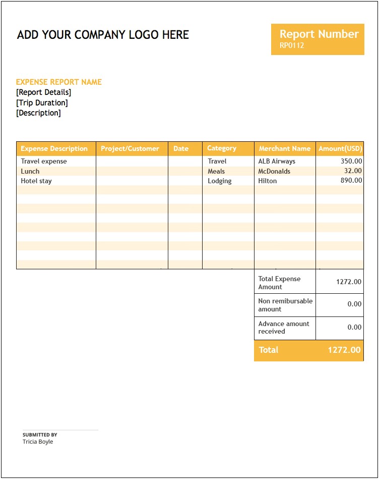 Free Expenses Report Template Excel Free Download