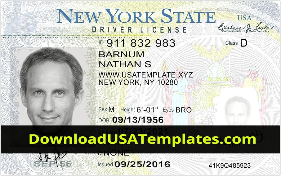 Free Fake Drivers License Template Download